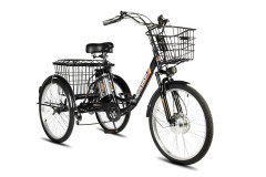 Электровелосипед РВЗ Чемпион 24