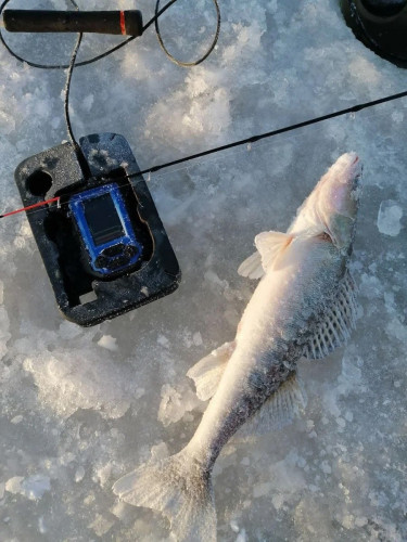 Эхолот Практик 8 в Красноярске