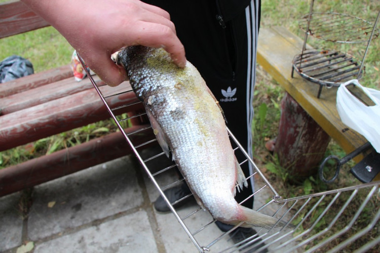 Решетка для рыбы в Красноярске