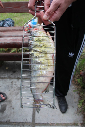 Решетка для рыбы в Красноярске