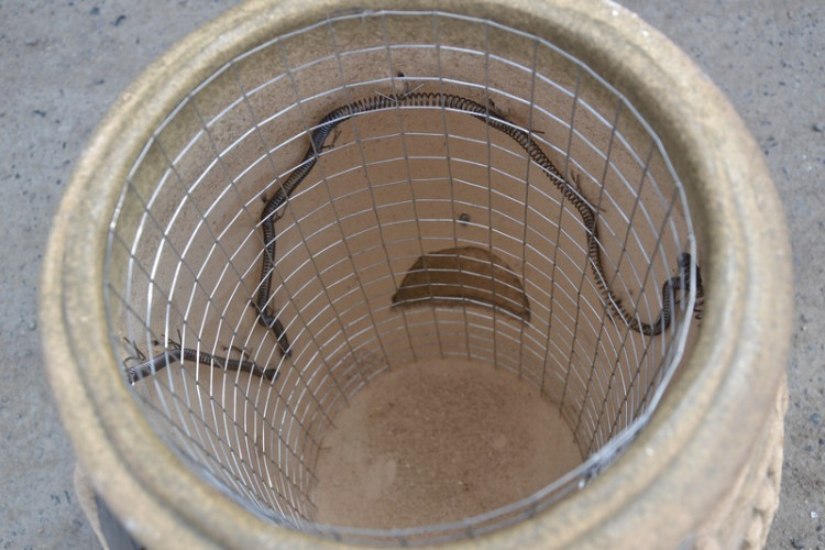 Тандыр Электрический Малый в Красноярске