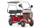 Пассажирский электротрицикл Rutrike Gelbert Hara в Красноярске