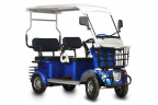 Пассажирский электротрицикл Rutrike Gelbert Hara в Красноярске