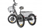 Электрофэтбайк Eltreco Green City e-ALFA Trike в Красноярске
