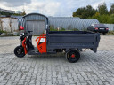 Грузовой электрический трицикл Pаntеrа Гидрaвлика 75V1500W в Красноярске