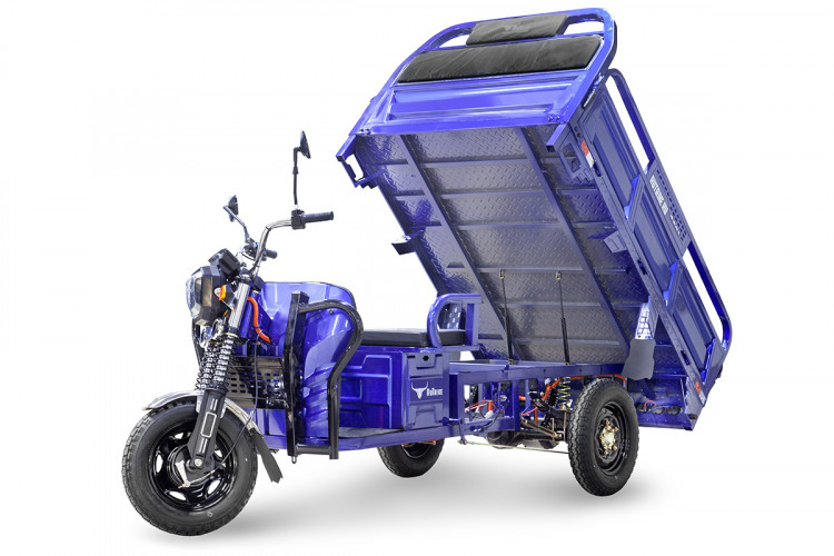 Грузовой электрический трицикл RuTrike D4 1800 60V1200W в Красноярске